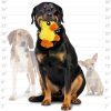 MicroFiber Ball Duck Dog Toy | Toys Dog Dog