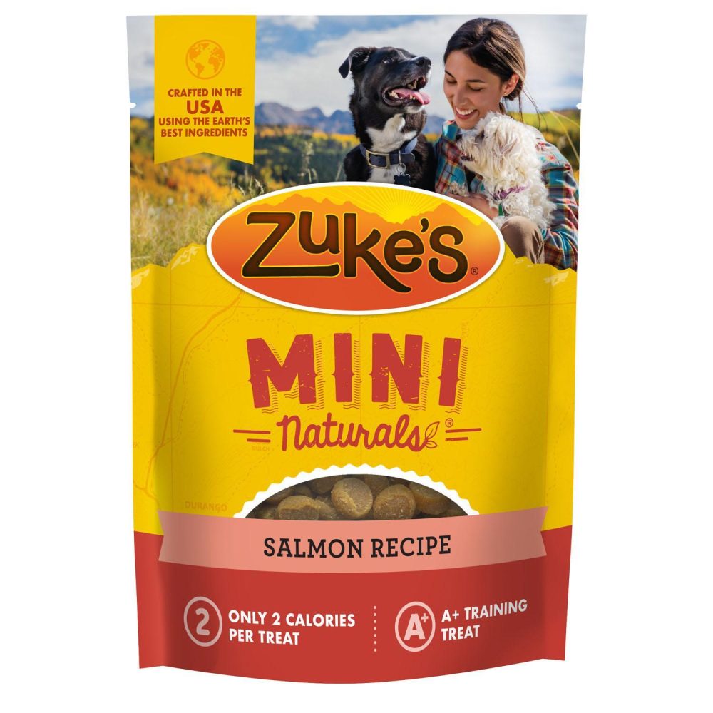 Mini Naturals Salmon Recipe Dog Treats | Soft & Chewy Treats Dog Dog