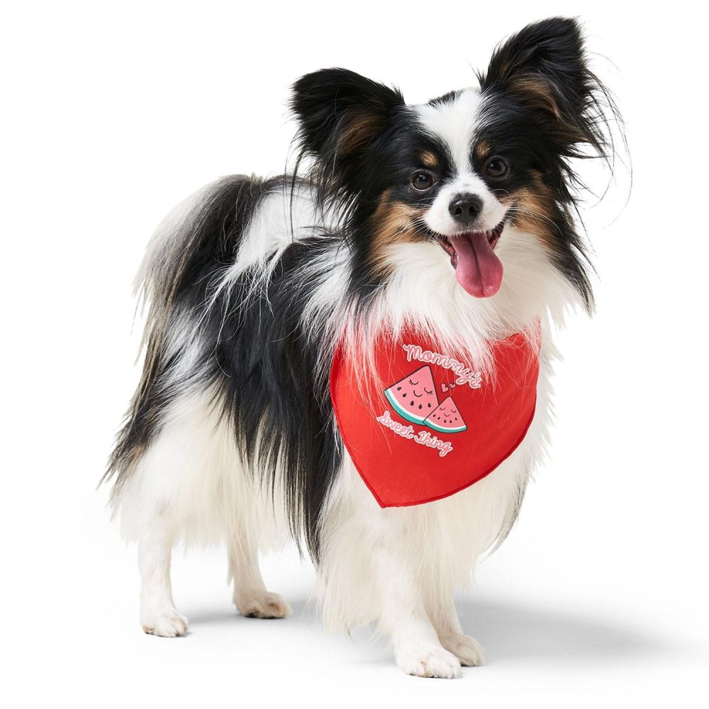 Mommy’s Sweet Thing Dog Bandana | Clothing & Accessories Clothing & Accessories Clothing & Accessories