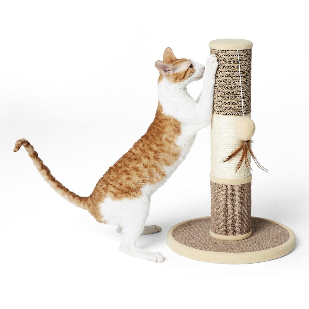 Multi-Surface Cat Scratch Post | Furniture & Scratchers Cat Cat