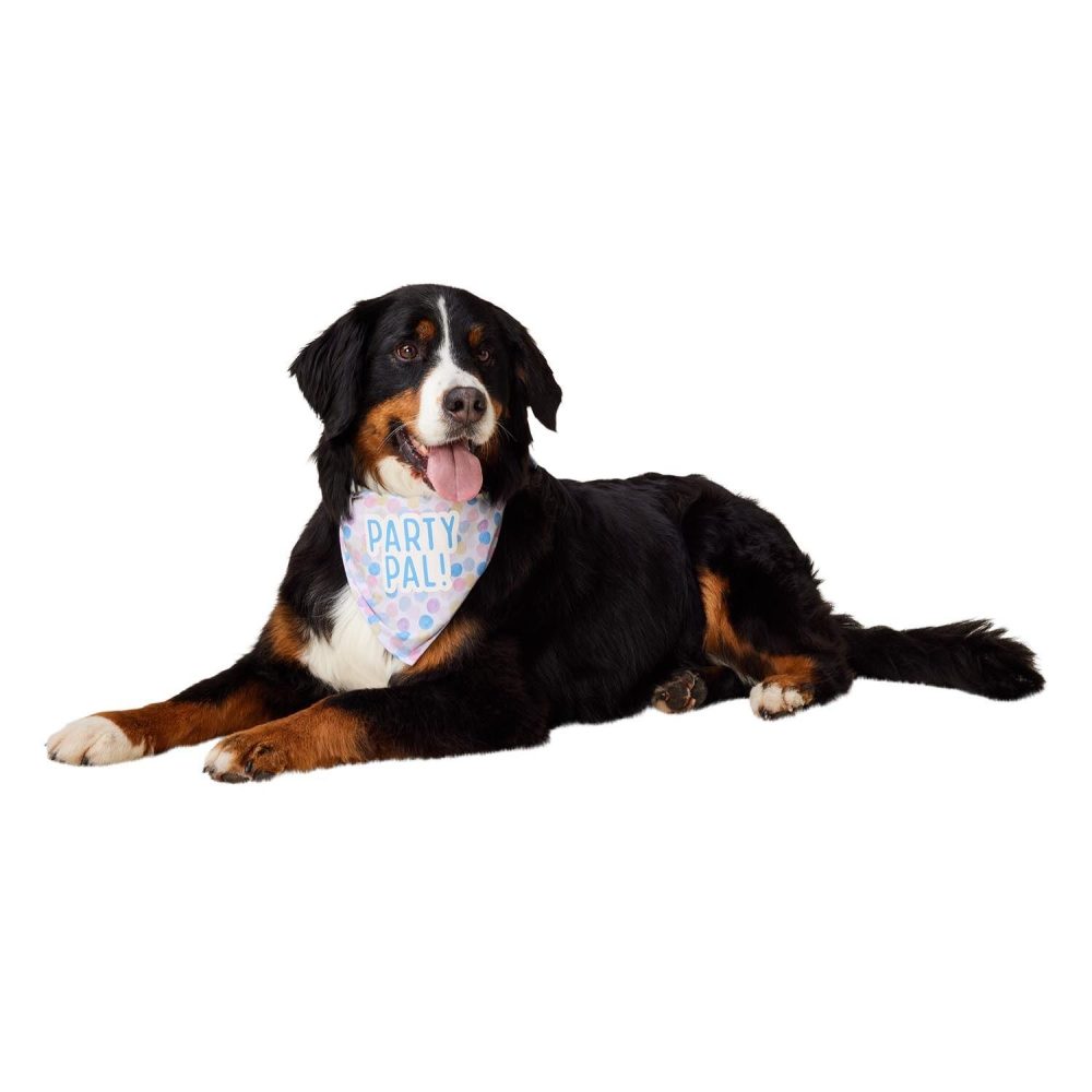 My Birthday Party Bandana | Clothing & Accessories Clothing & Accessories Clothing & Accessories