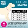 Neoprene SMART ID Strawberry Dog Collar | Collars, Leashes & Harnesses Collars, Leashes & Harnesses Collars, Leashes & Harnesses