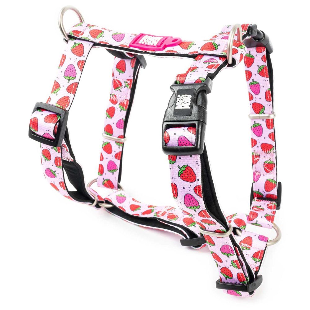 Neoprene Strawberry Dog H-Harness | Collars, Leashes & Harnesses Collars, Leashes & Harnesses Collars, Leashes & Harnesses