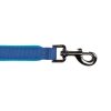 NiteDog Rechargeable LED Blue Dog Leash | Collars, Leashes & Harnesses Collars, Leashes & Harnesses Collars, Leashes & Harnesses