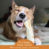 No-Hide Cage-Free Chicken Natural Rawhide Alternative Dog Chews 2 Pack | Bones & Chews Bones & Chews Bones & Chews