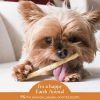 No-Hide Cage-Free Chicken Stix Natural Rawhide Alternative Dog & Cat Chew / 10 pack | Treats Bones & Chews Cat