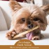 No-Hide Grass-Fed Venison Stix Natural Rawhide Alternative Dog & Cat Chew / 10 pack | Treats Bones & Chews Cat