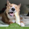 No-Hide Humanely-Raised Pork Natural Rawhide Alternative Dog Chew | Bones & Chews Bones & Chews Bones & Chews