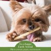 No-Hide Humanely-Raised Pork Stix Natural Rawhide Alternative Dog & Cat Chew / 10 pack | Treats Bones & Chews Cat