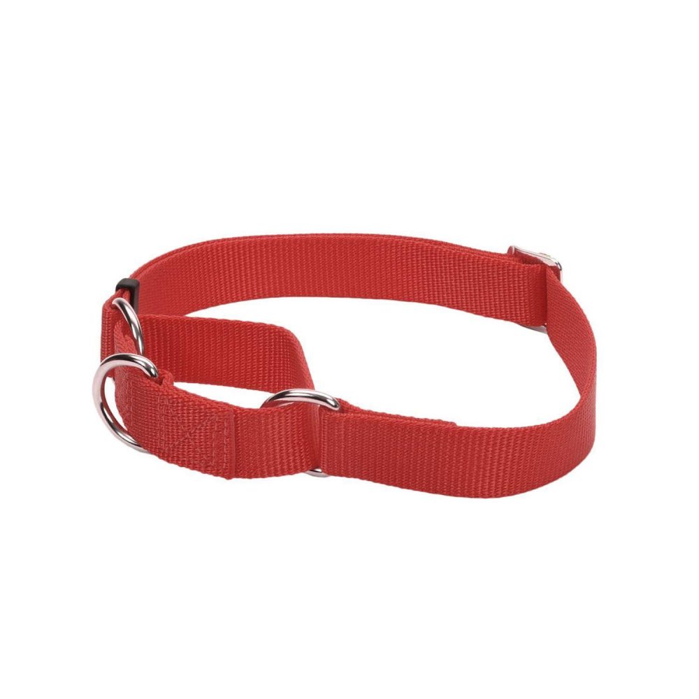 No! Slip Martingale Adjustable Collar Red | Training & Behaviour Collars, Leashes & Harnesses Collars, Leashes & Harnesses