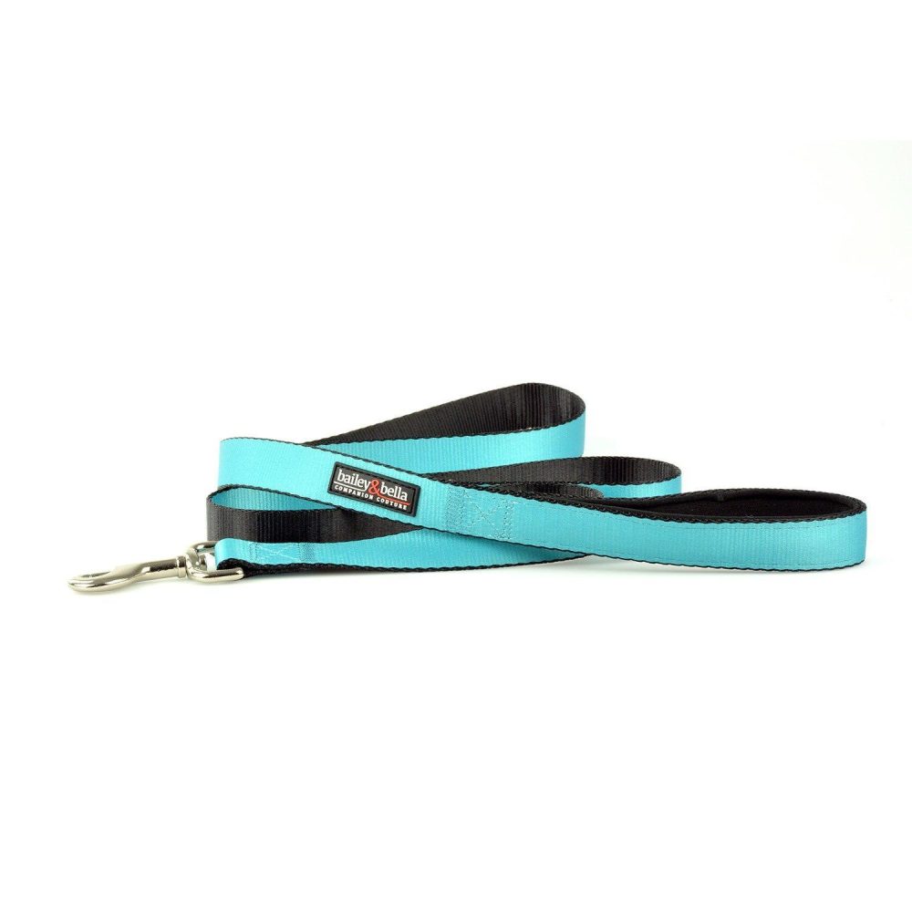 Nylon 1in Blue Dog Leash | Collars, Leashes & Harnesses Collars, Leashes & Harnesses Collars, Leashes & Harnesses