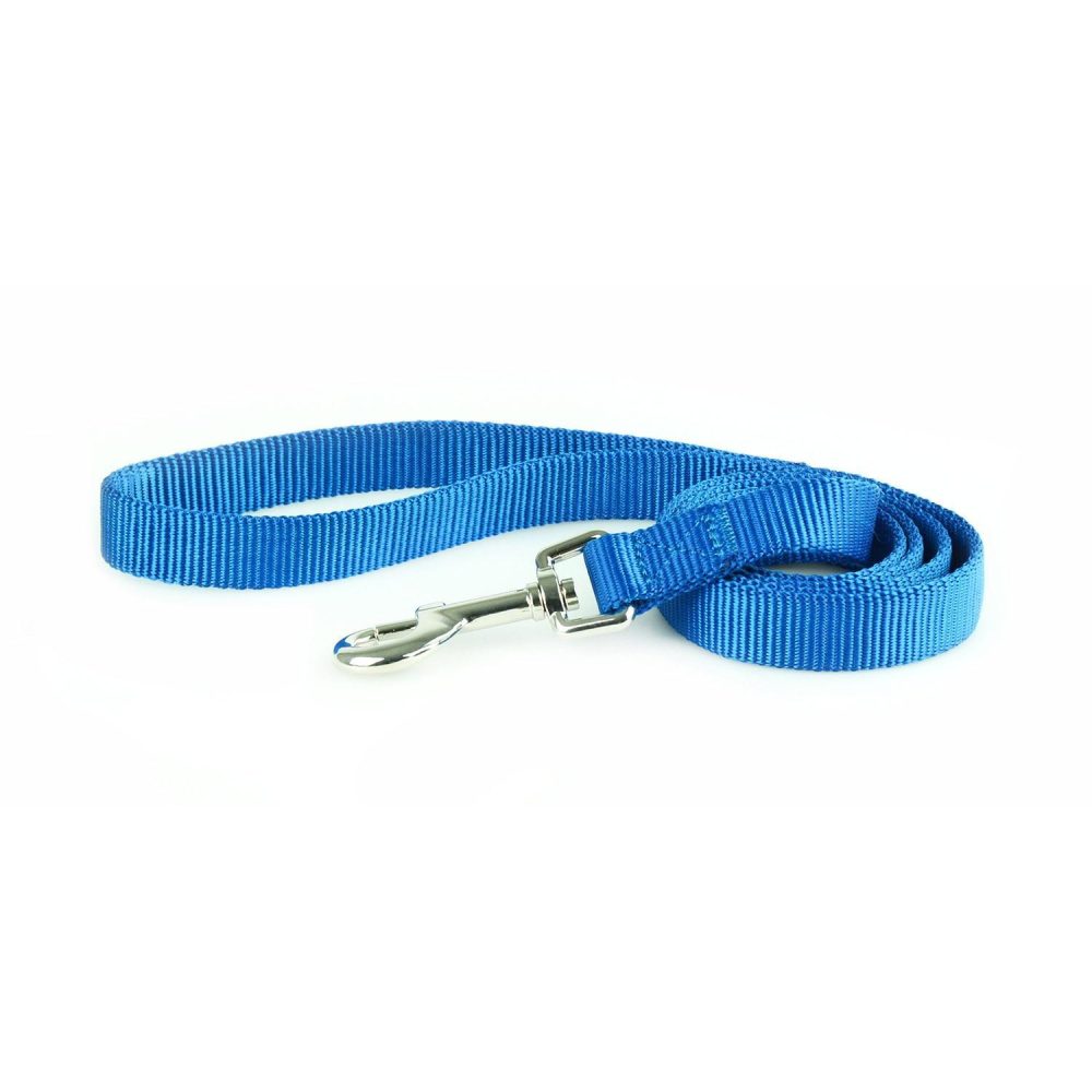 Nylon 1in Blue Dog Leash | Collars, Leashes & Harnesses Collars, Leashes & Harnesses Collars, Leashes & Harnesses