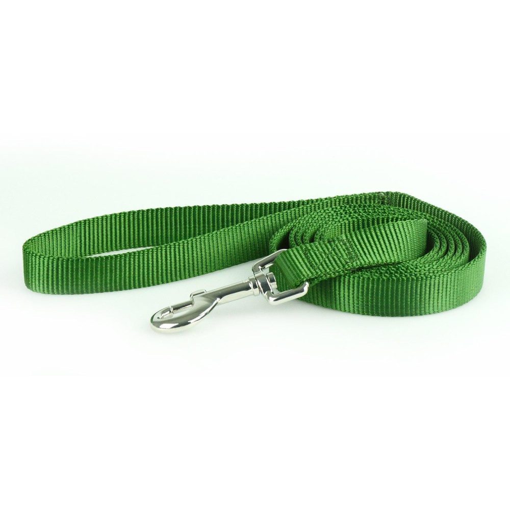 Nylon 1in Dark Green Dog Leash | Collars, Leashes & Harnesses Collars, Leashes & Harnesses Collars, Leashes & Harnesses