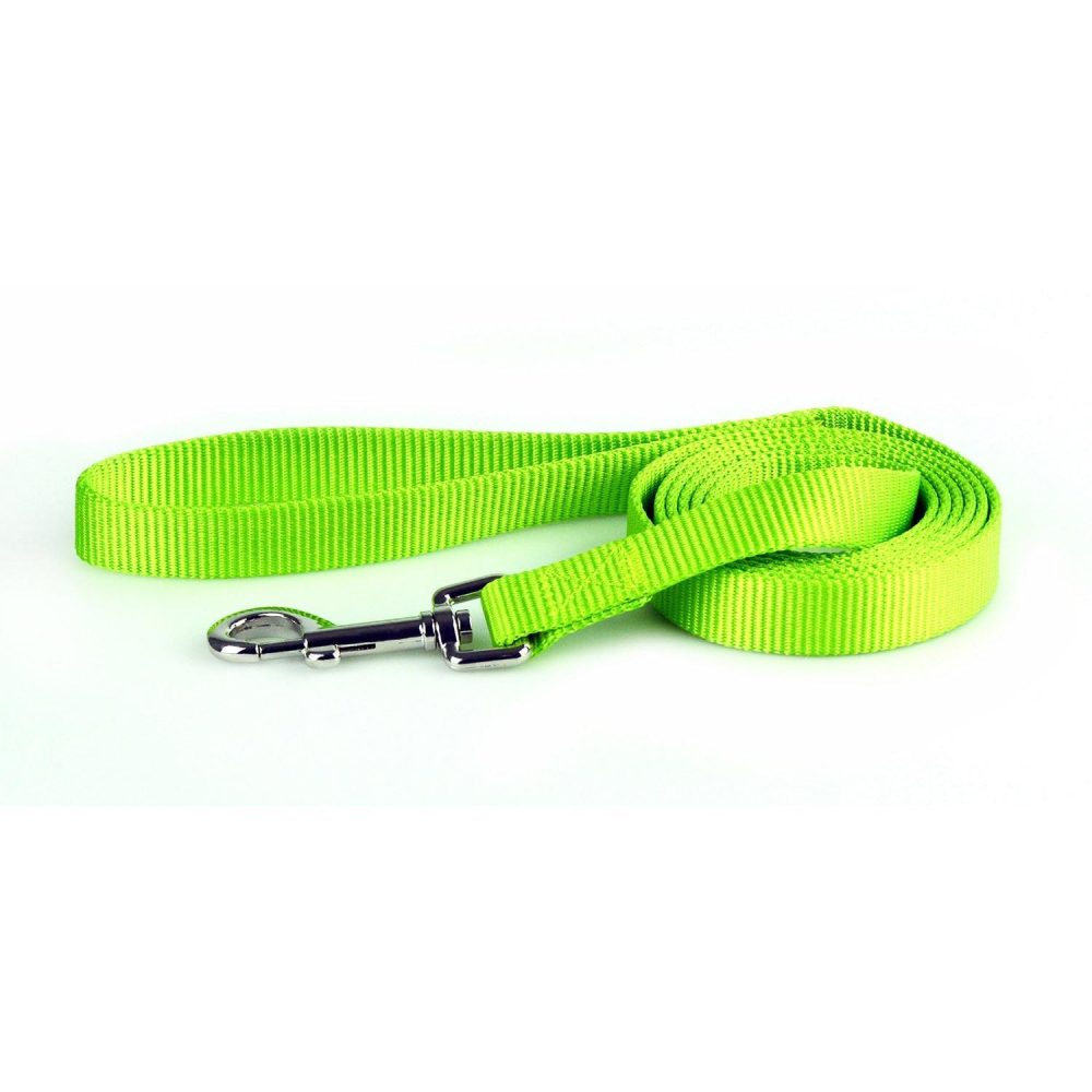 Nylon 1in Lime Green Dog Leash | Collars, Leashes & Harnesses Collars, Leashes & Harnesses Collars, Leashes & Harnesses