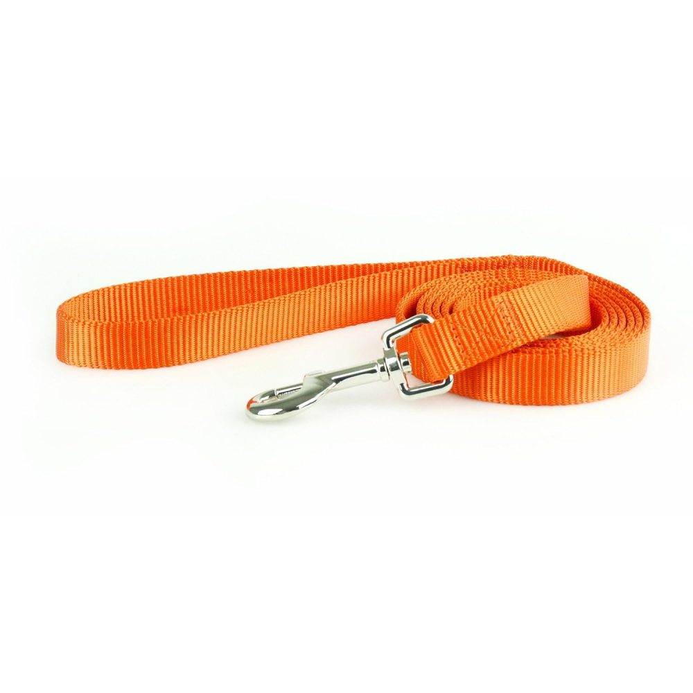 Nylon 1in Orange Dog Leash | Collars, Leashes & Harnesses Collars, Leashes & Harnesses Collars, Leashes & Harnesses