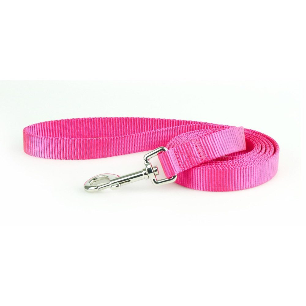 Nylon 1in Pink Dog Leash | Collars, Leashes & Harnesses Collars, Leashes & Harnesses Collars, Leashes & Harnesses