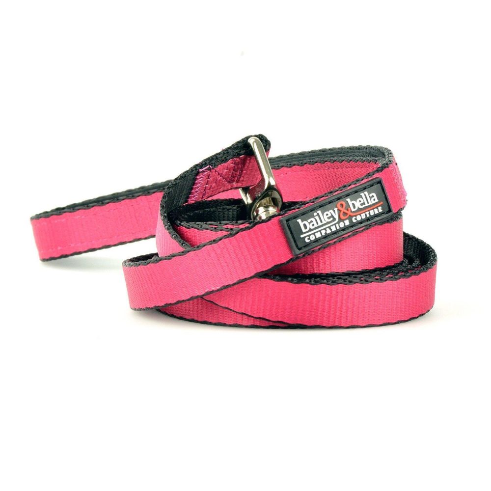 Nylon 1in Pink Dog Leash | Collars, Leashes & Harnesses Collars, Leashes & Harnesses Collars, Leashes & Harnesses