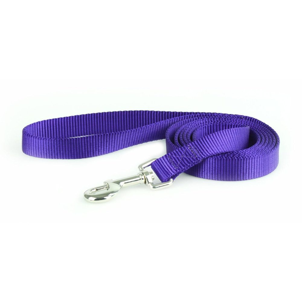 Nylon 1in Purple Dog Leash | Collars, Leashes & Harnesses Collars, Leashes & Harnesses Collars, Leashes & Harnesses