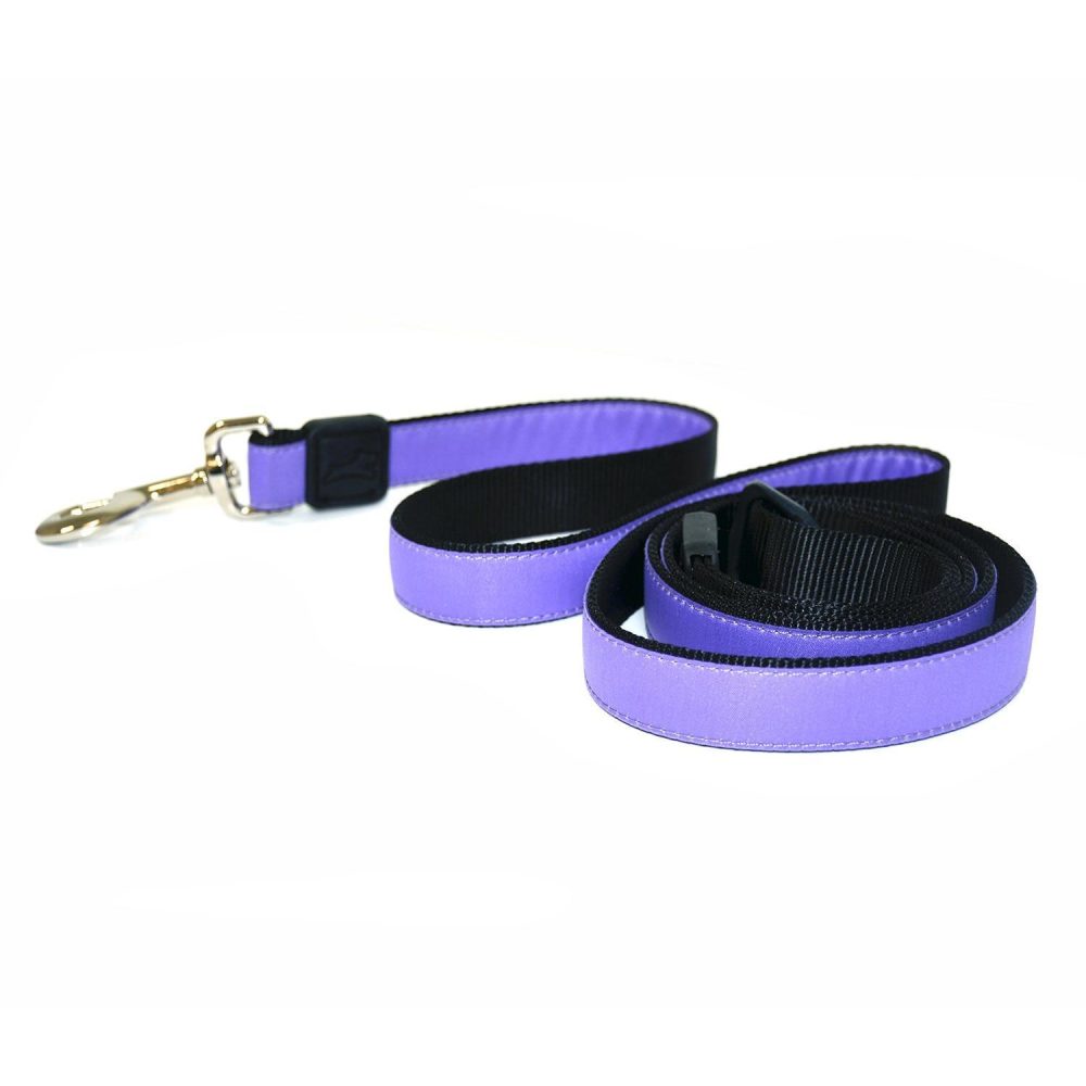 Nylon 3/4in Purple Dog Leash | Collars, Leashes & Harnesses Collars, Leashes & Harnesses Collars, Leashes & Harnesses