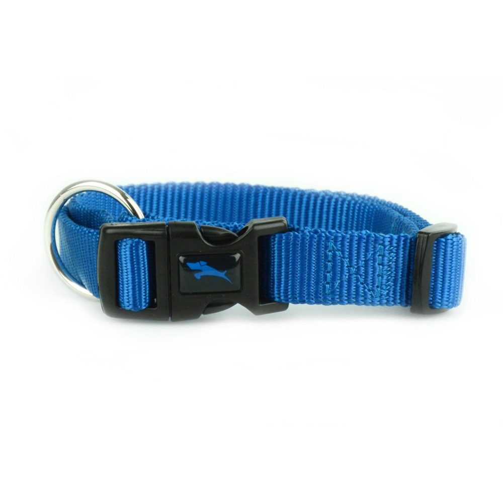 Nylon Adjustable Blue Dog Collar | Collars, Leashes & Harnesses Collars, Leashes & Harnesses Collars, Leashes & Harnesses