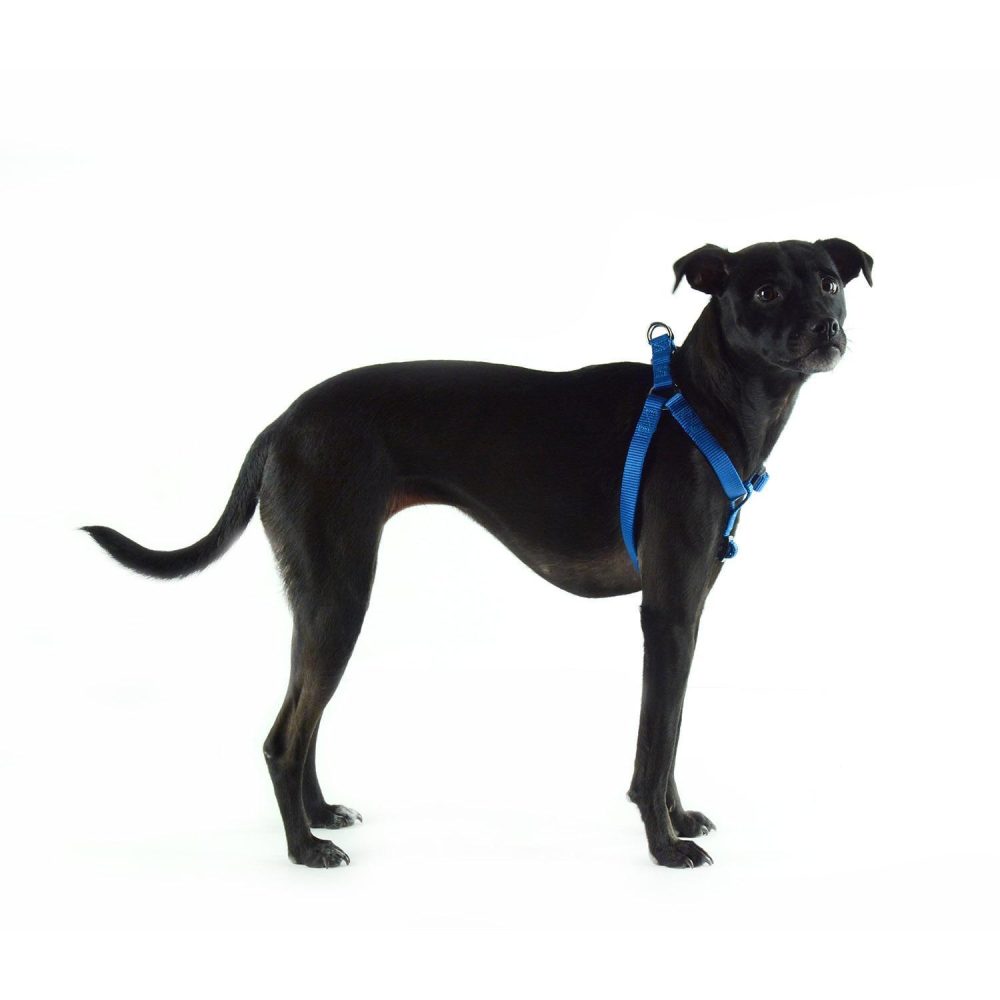 Nylon Adjustable Blue Dog Harness | Collars, Leashes & Harnesses Collars, Leashes & Harnesses Collars, Leashes & Harnesses