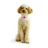 Nylon Adjustable Pink Dog Collar | Collars, Leashes & Harnesses Collars, Leashes & Harnesses Collars, Leashes & Harnesses