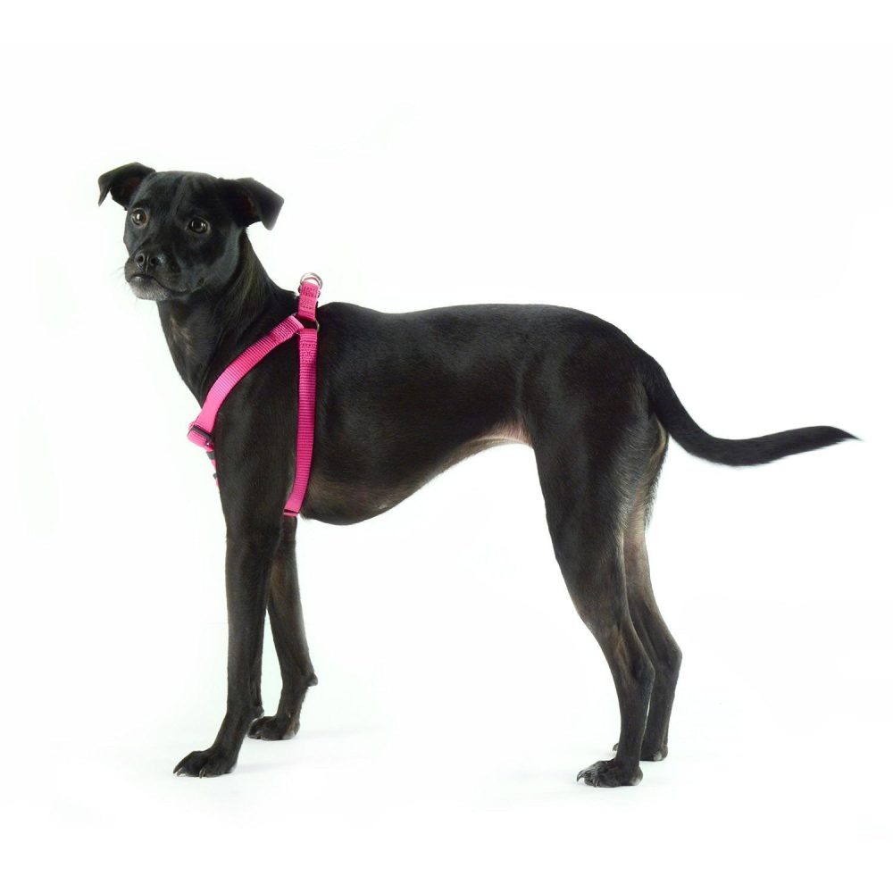 Nylon Adjustable Pink Dog Harness | Collars, Leashes & Harnesses Collars, Leashes & Harnesses Collars, Leashes & Harnesses