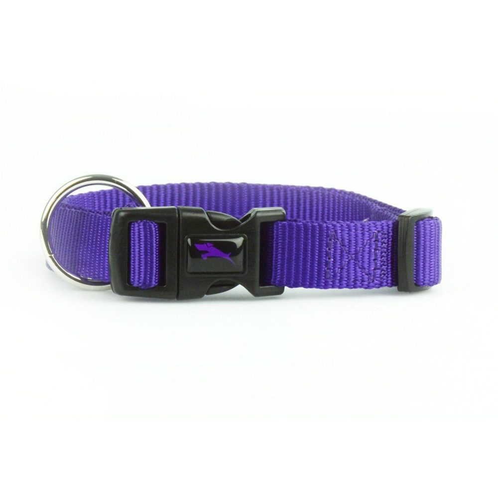 Nylon Adjustable Purple Dog Collar | Collars, Leashes & Harnesses Collars, Leashes & Harnesses Collars, Leashes & Harnesses