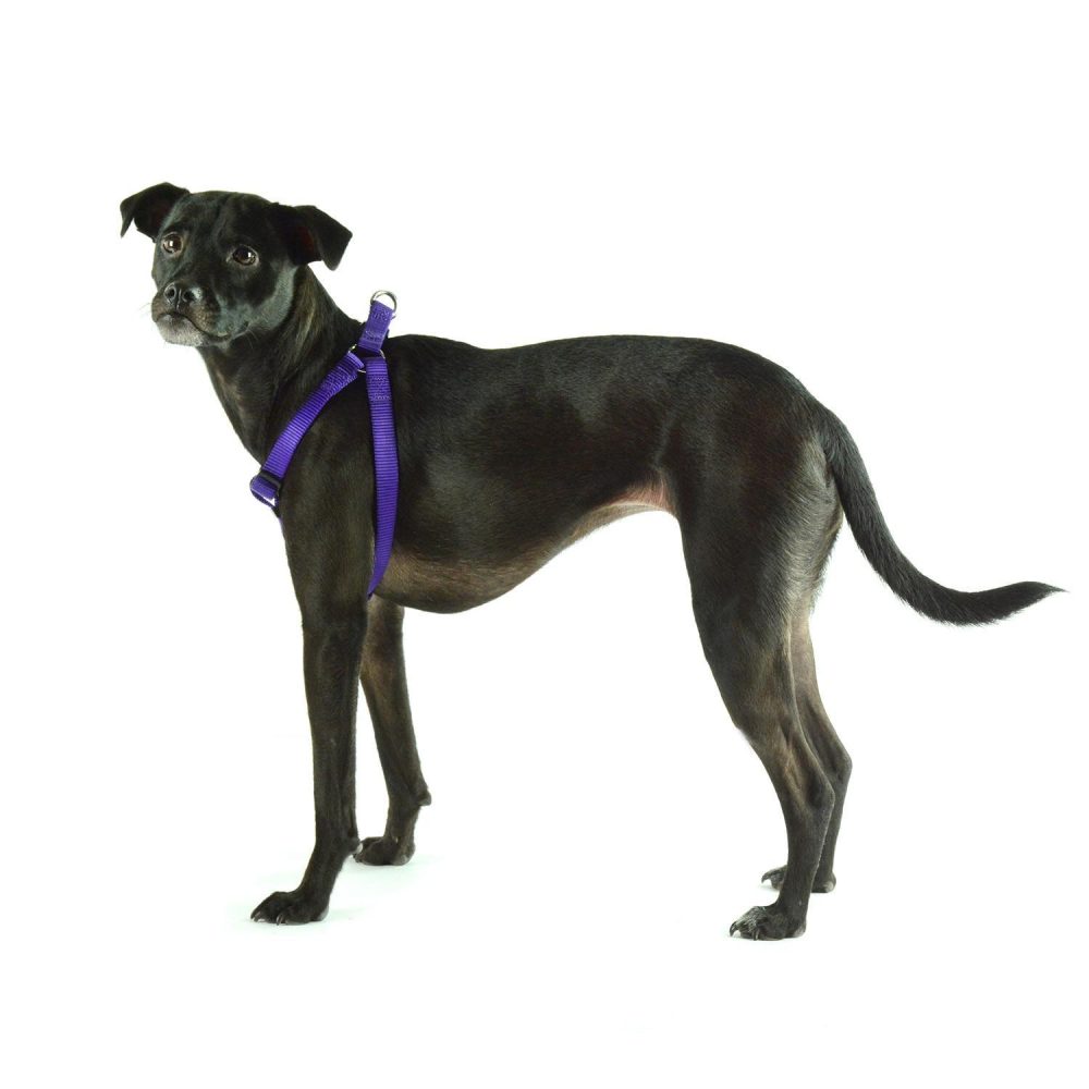 Nylon Adjustable Purple Dog Harness | Collars, Leashes & Harnesses Collars, Leashes & Harnesses Collars, Leashes & Harnesses