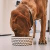 Ocean Waves Printed Feeding & Water Bowl | Bowls & Feeding Bowls & Feeding Bowls & Feeding