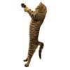 Original Interactive Cat Toy | Toys Cat Cat