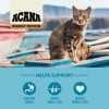 Pacifica Cat Food | Dry Food Cat Cat