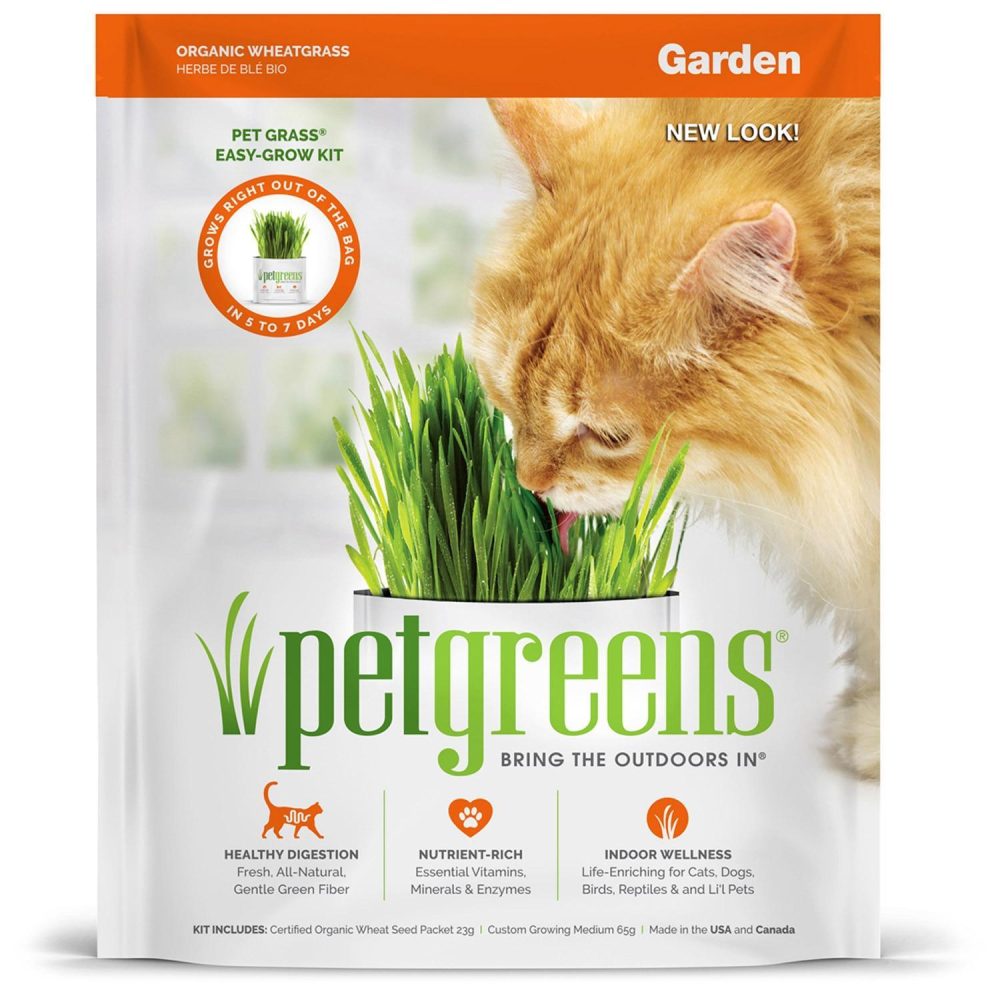 Pet Grass Self-Grow Kit Garden | Treats Cat Cat