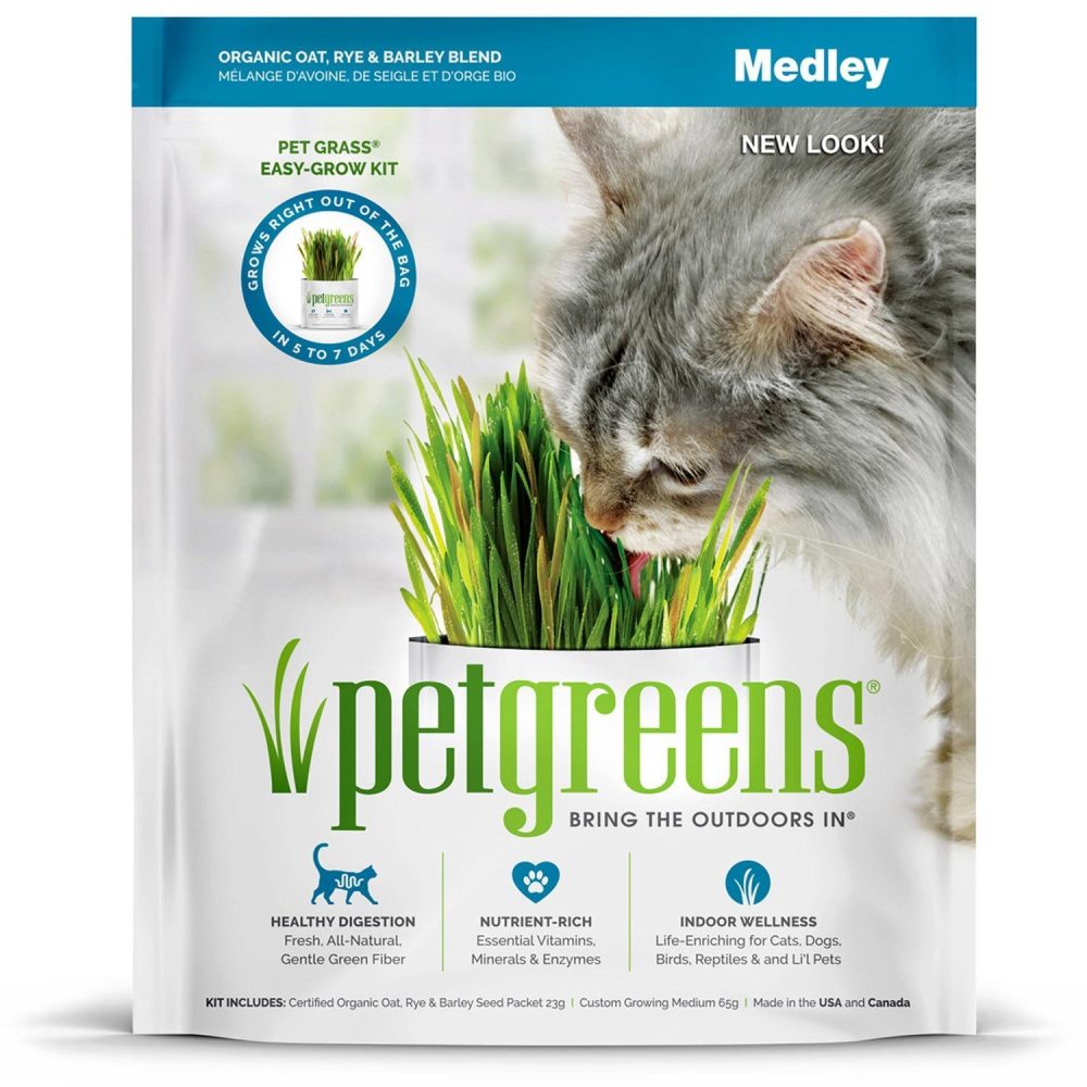 Pet Grass Self-Grow Kit Medley | Treats Cat Cat