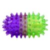 Pill Spiker Assorted Colors | Toys Dog Dog