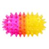 Pill Spiker Assorted Colors | Toys Dog Dog