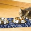 Place Mat – Indigo Navy and White | Bowls & Feeding Bowls & Feeding Bowls & Feeding