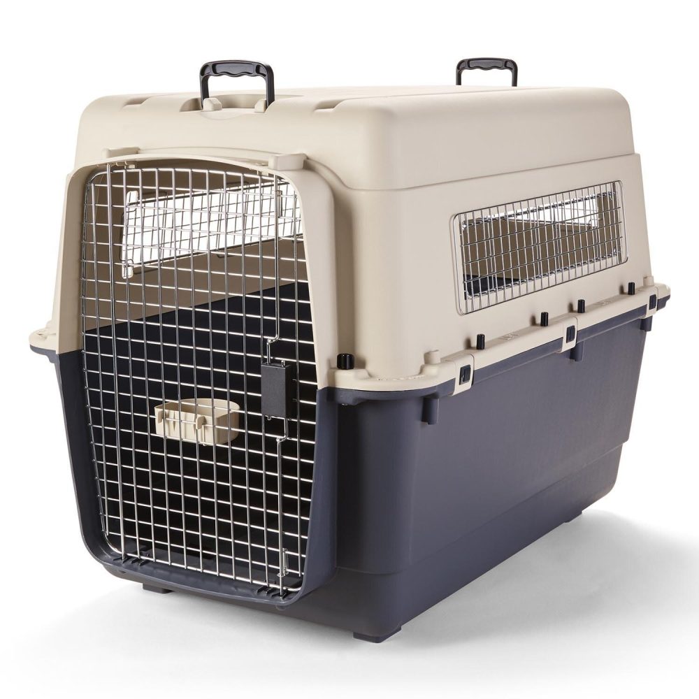 Plastic Carrier | Carriers & Travel Accessories Dog Carriers & Travel Accessories