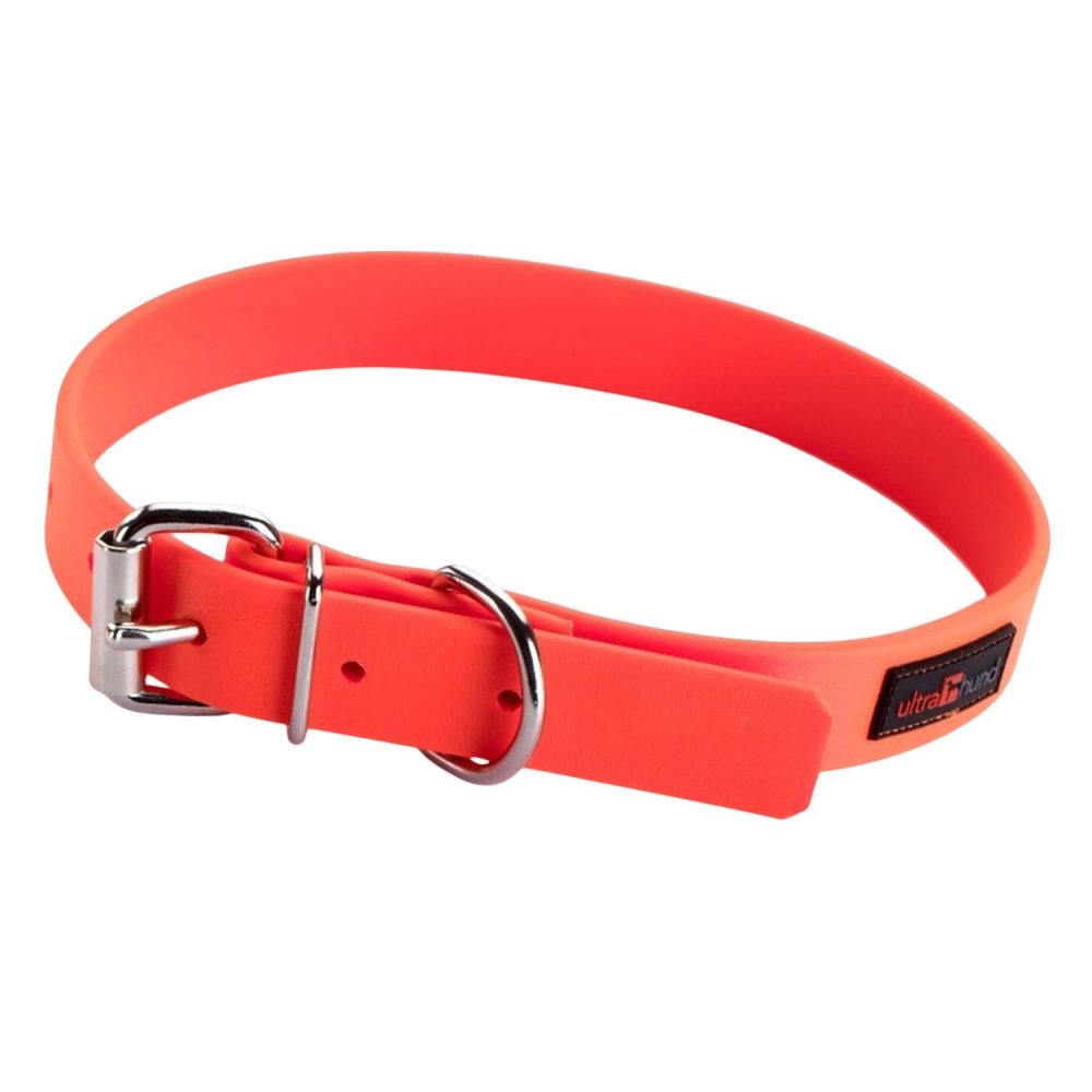 Play 1in Orange Dog Collar | Collars, Leashes & Harnesses Collars, Leashes & Harnesses Collars, Leashes & Harnesses