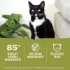 Premium Pate Lamb Recipe Adult Cat Food / 5.5 oz – 12 pk | Wet Food Cat Cat