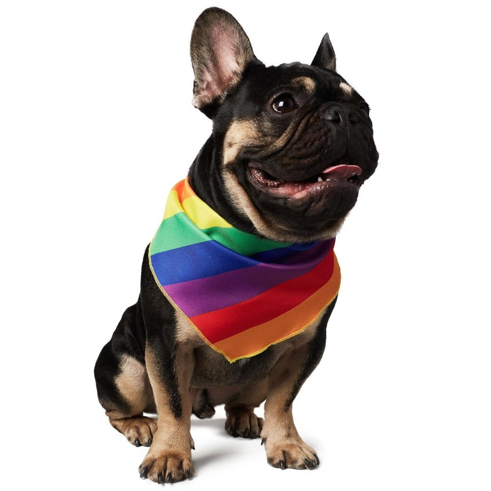 Pride Bandana | Clothing & Accessories Clothing & Accessories Clothing & Accessories