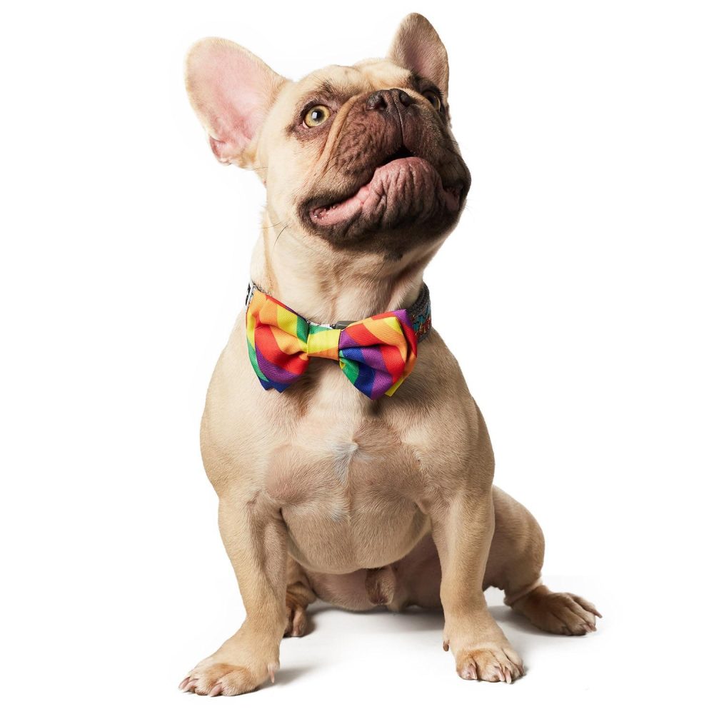 Pride Bowtie | Clothing & Accessories Clothing & Accessories Clothing & Accessories