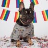 Pride Pajamas | Clothing & Accessories Clothing & Accessories Clothing & Accessories