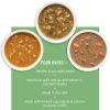 Pumpkin Pour Overs Chicken & Pumpkin Stew Dog Food / 5.5 oz – 12 pk | Wet Food Dog Dog