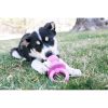 Puppy Binkie Assorted Colours Dog Toy | Toys Dog Dog