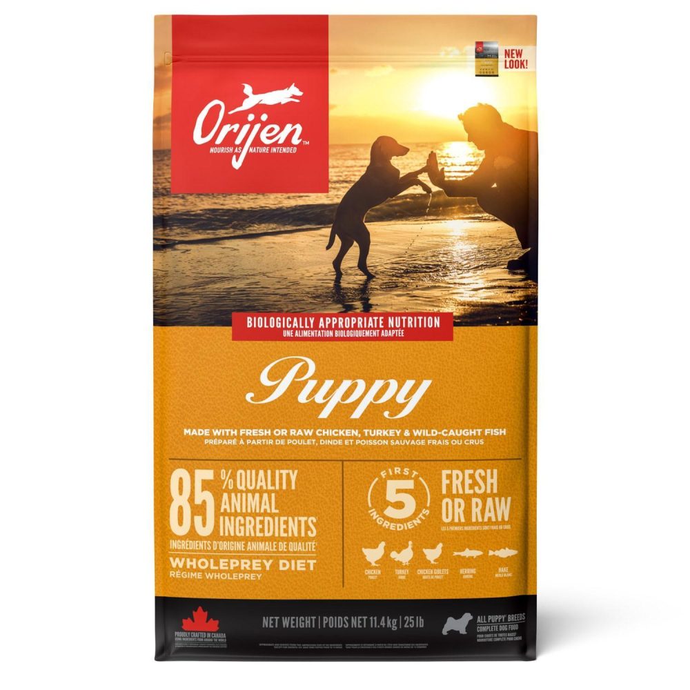 Puppy Dog Food | Dry Food Dog Dog