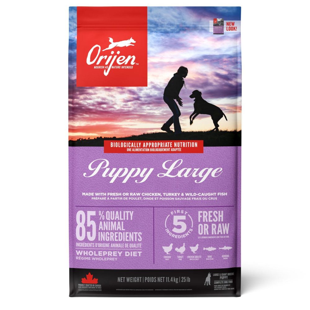 Puppy Large Dog Food | Dry Food Dog Dog