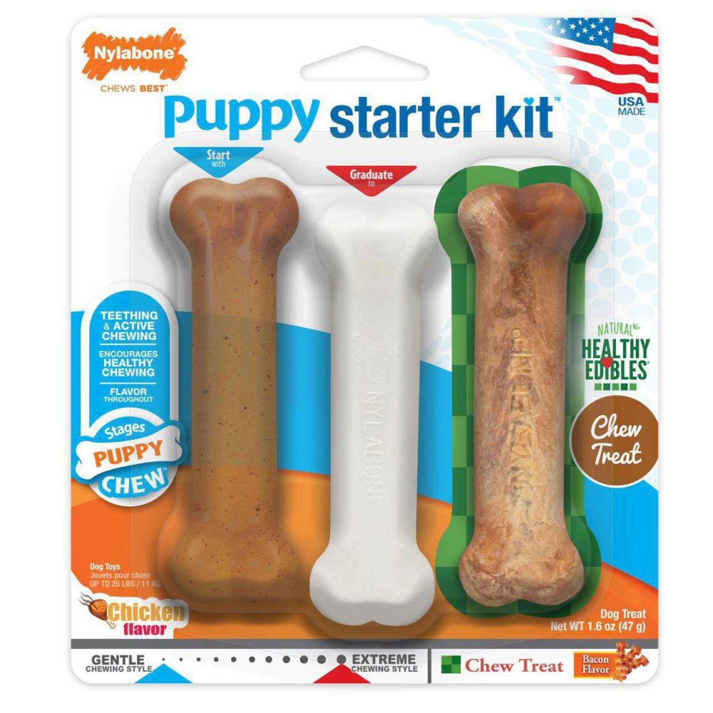 Puppy Starter Kit Dog Chews | Toys Dog Dog