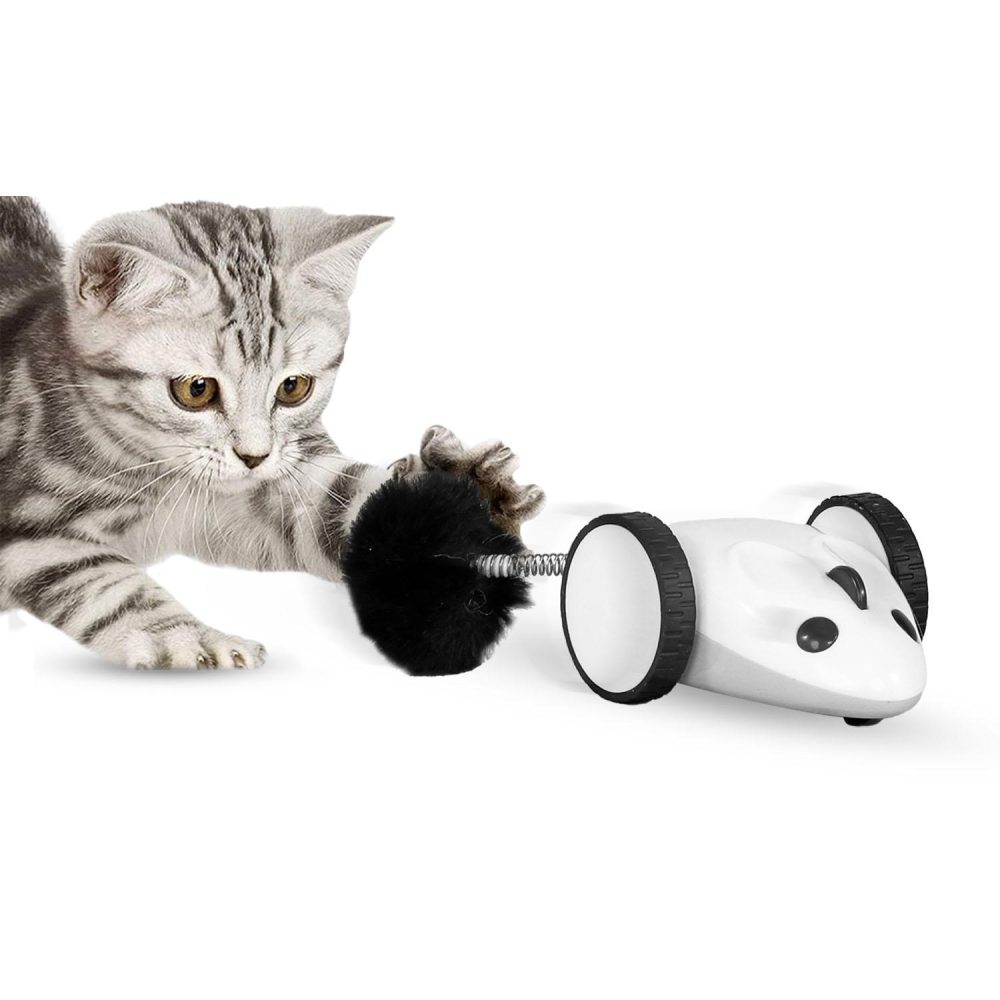 Purechase Smart Cat Toy | Toys Cat Cat