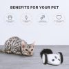 Purechase Smart Cat Toy | Toys Cat Cat